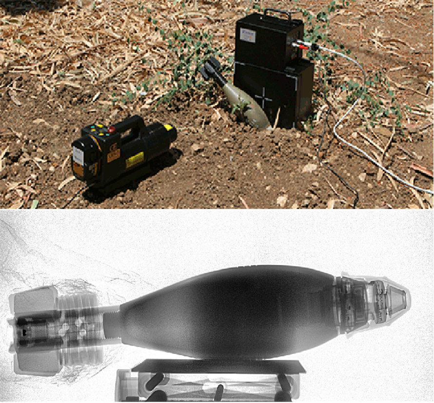 原位檢測.png 原位檢測.png